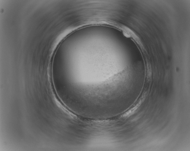 X0000068900958200605081342