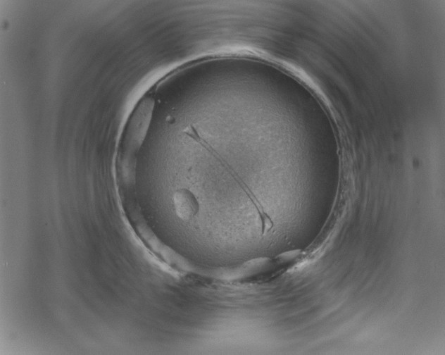 X0000068900959200605081342