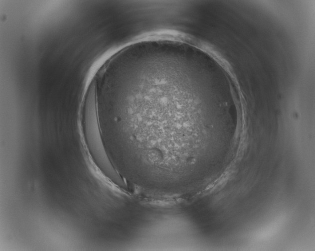 X0000068900960200605081342