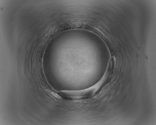 X0000068900961200605081341