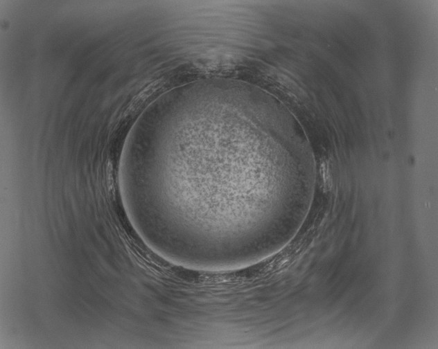 X0000068900963200605081341