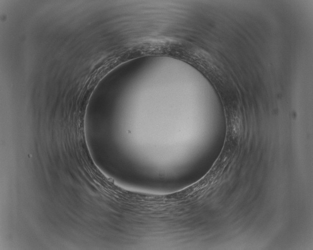 X0000068900964200605081341