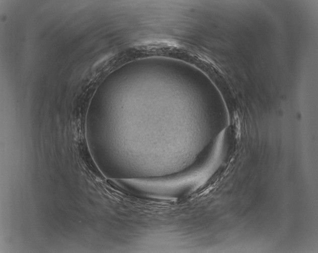 X0000068900965200605081341