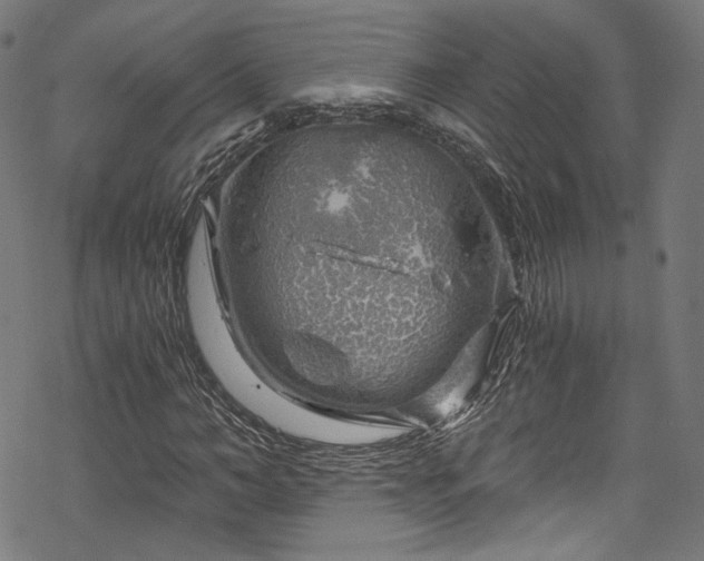 X0000068900966200605081341