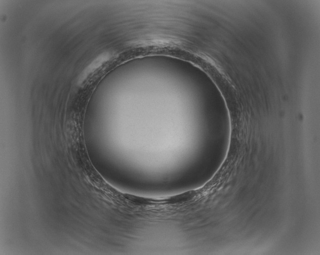 X0000068900967200605081341