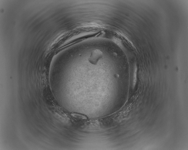 X0000068900968200605081341