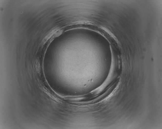 X0000068900969200605081341