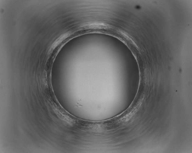 X0000068900970200605081341