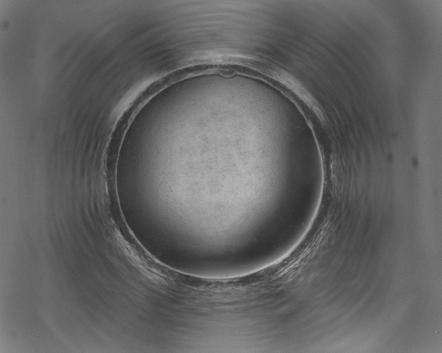 X0000068900972200605081341