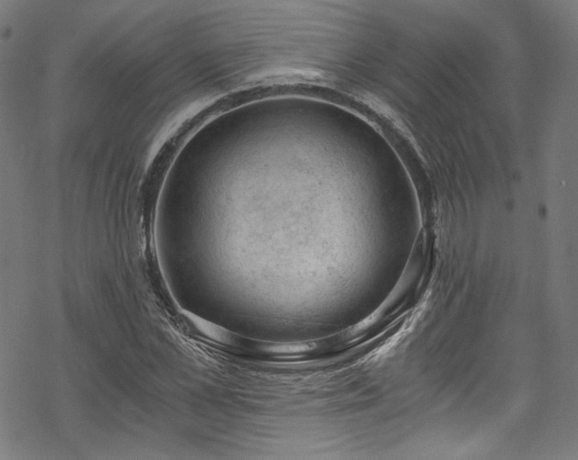 X0000068900973200605081341