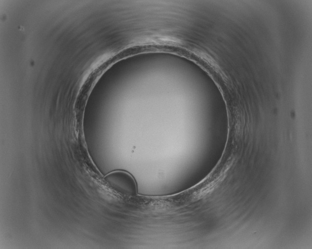 X0000068900974200605081341