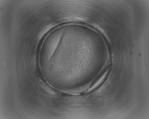 X0000068900975200605081341