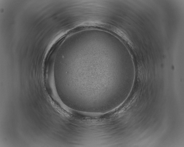 X0000068900976200605081341