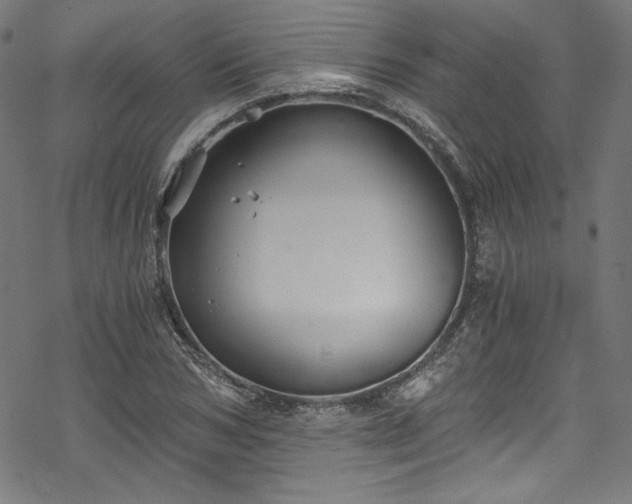 X0000068900978200605081341