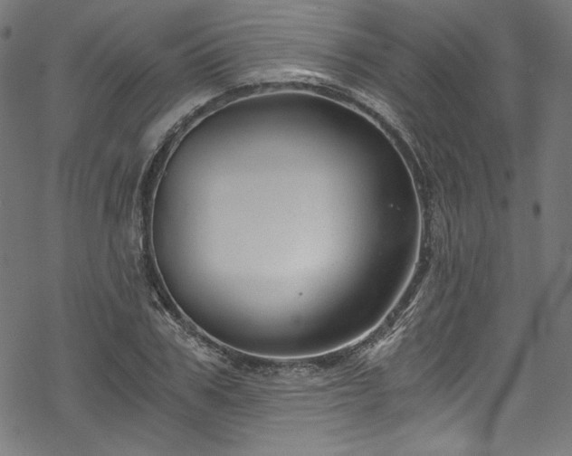 X0000068900979200605081341