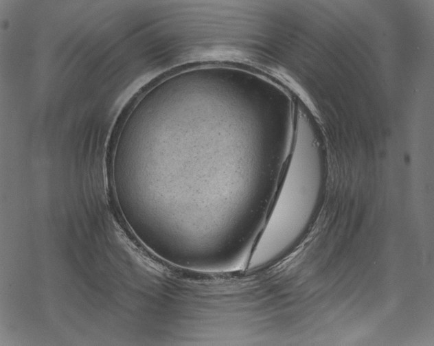 X0000068900980200605081341