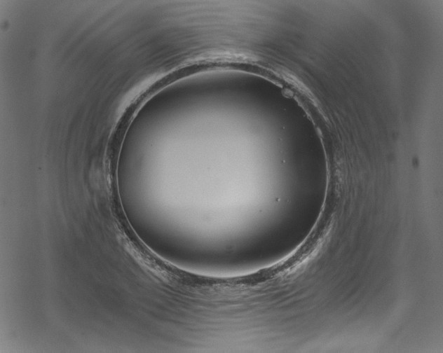 X0000068900981200605081341