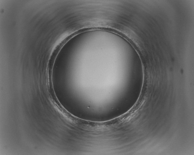 X0000068900982200605081341