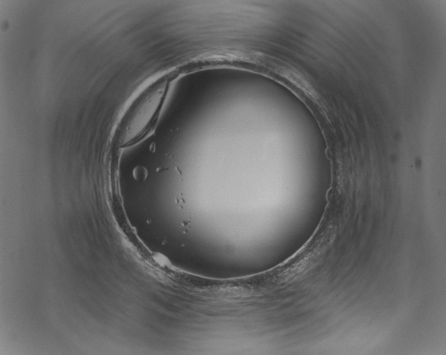 X0000068900984200605081341