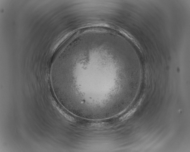 X0000068900985200605081341