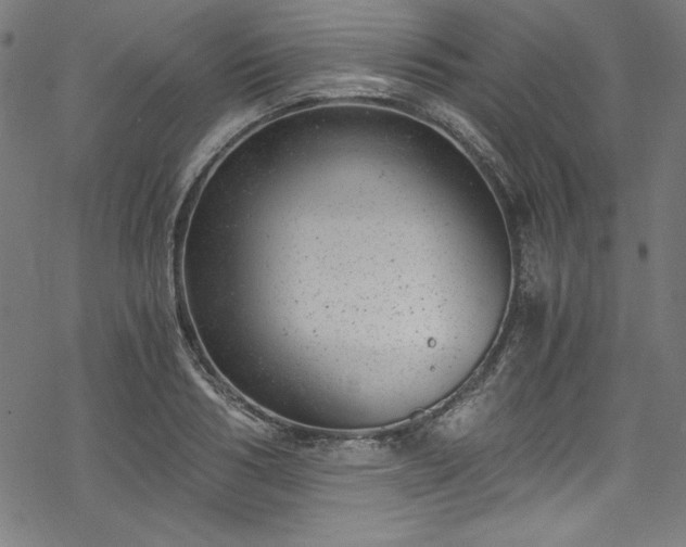 X0000068900986200605081341