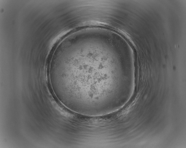 X0000068900987200605081341