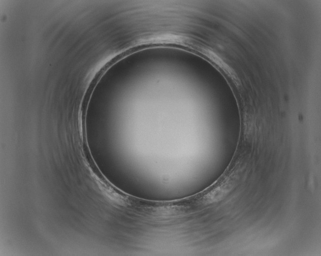 X0000068900988200605081341