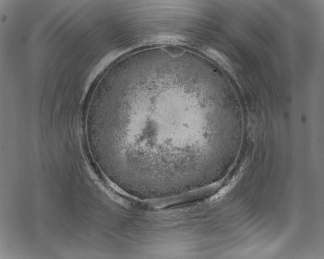 X0000068900989200605081341