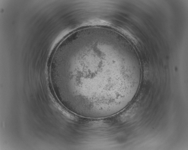 X0000068900990200605081341