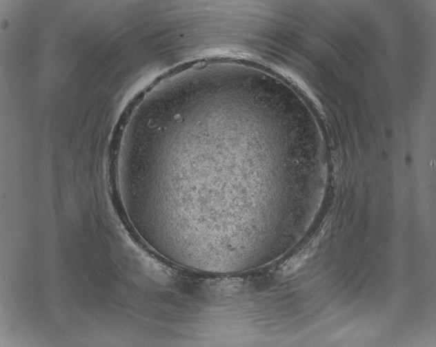 X0000068900991200605081341