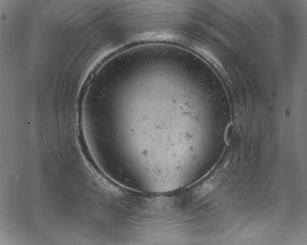 X0000068900992200605081341