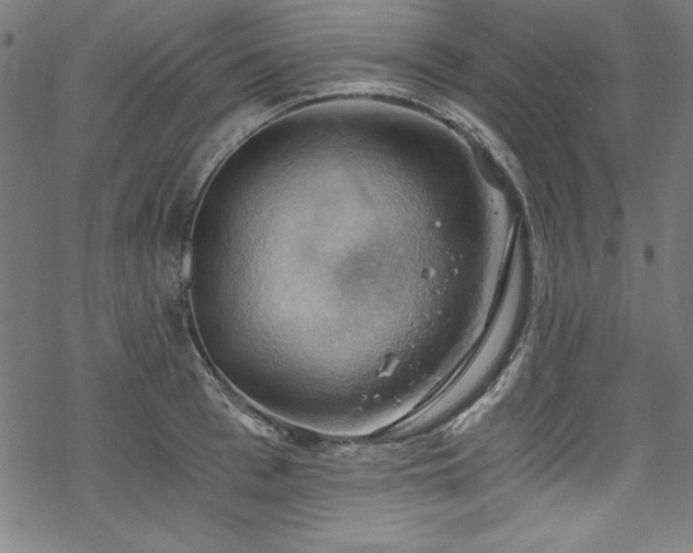 X0000068900993200605081341