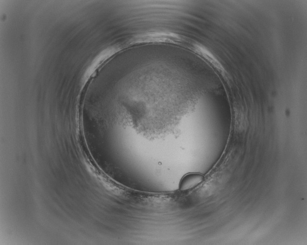 X0000068900994200605081341