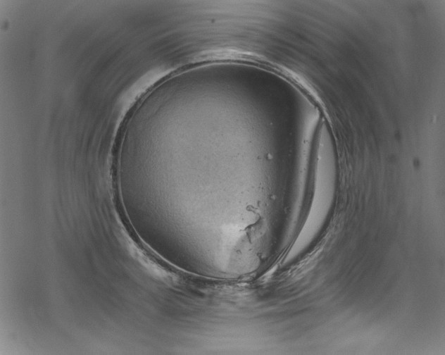 X0000068900995200605081341