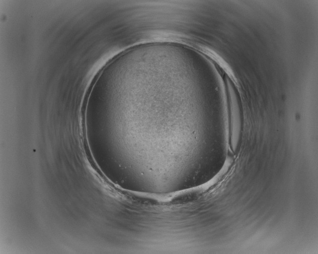 X0000068900996200605081341