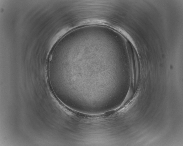 X0000068900997200605081341