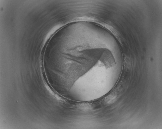 X0000068900998200605081341