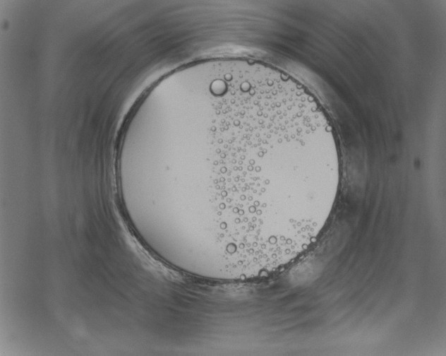 X0000068901000200605081341