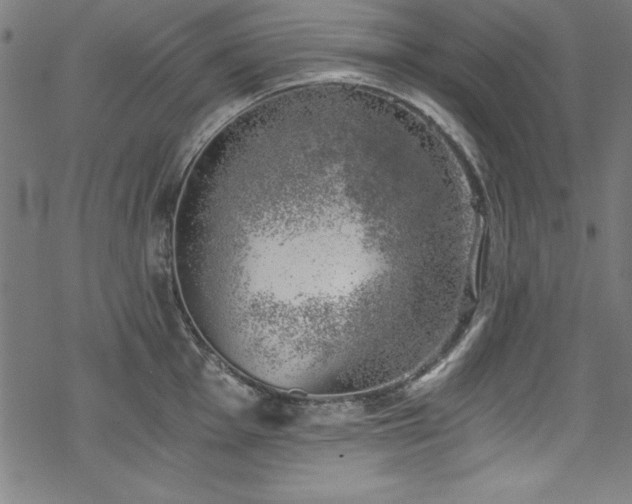 X0000068901001200605081341