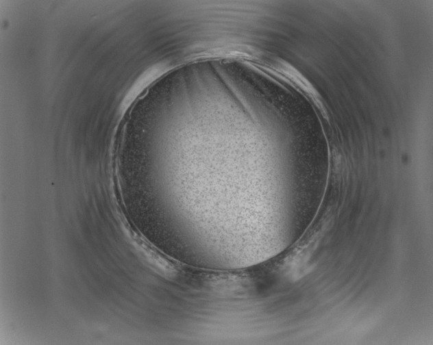 X0000068901002200605081341