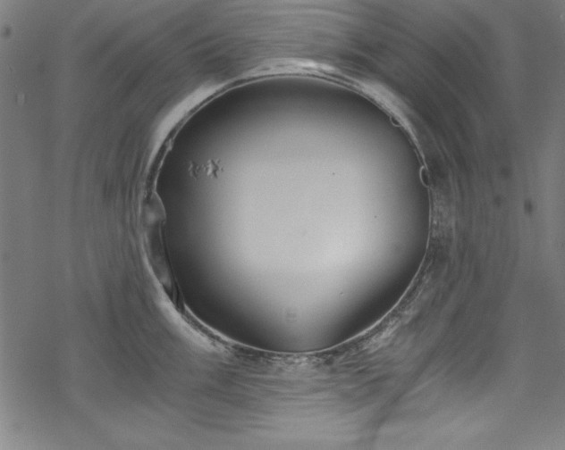 X0000068901003200605081340