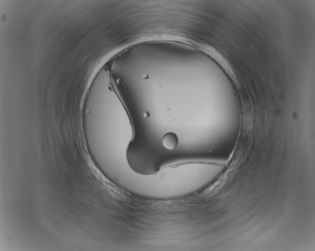 X0000068901004200605081340