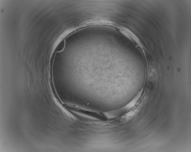 X0000068901005200605081340