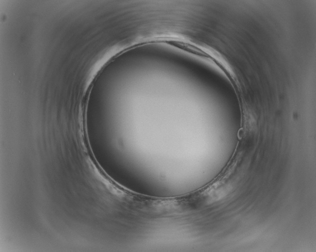 X0000068901006200605081340