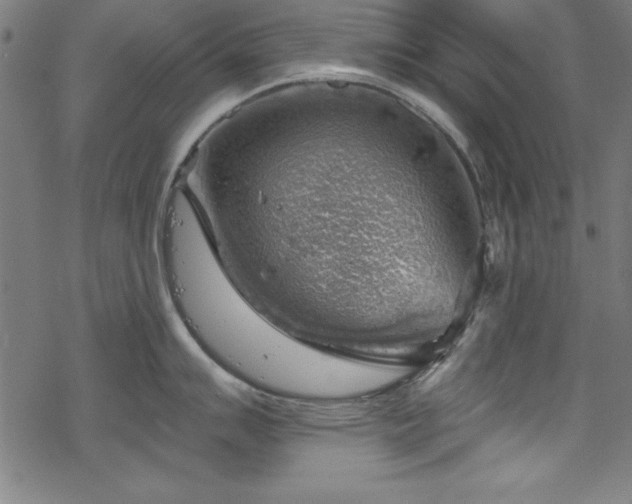 X0000068901007200605081340