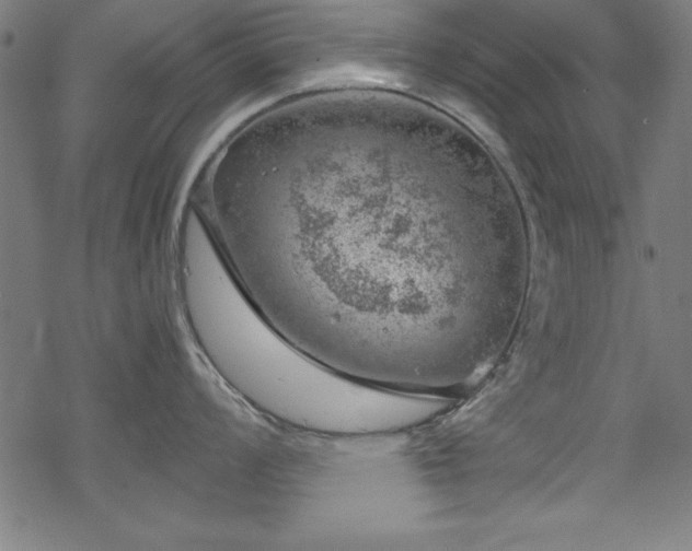 X0000068901008200605081340