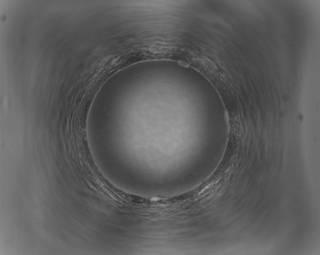 X0000068901009200605081340