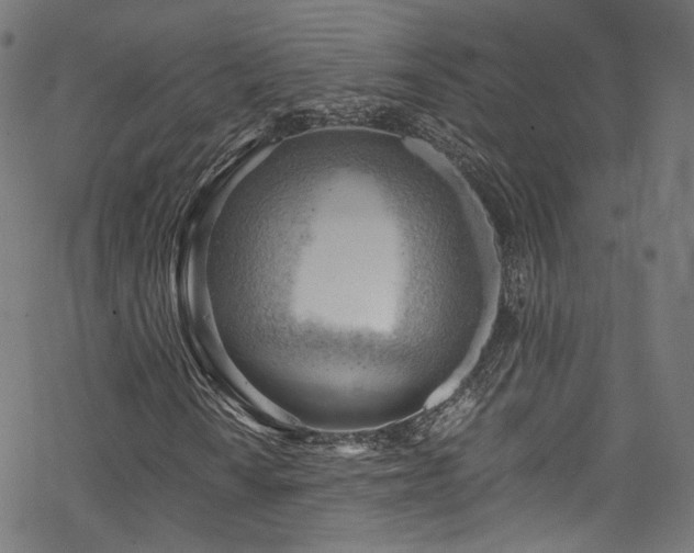 X0000068901010200605081340