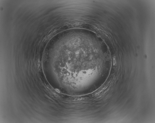 X0000068901011200605081340