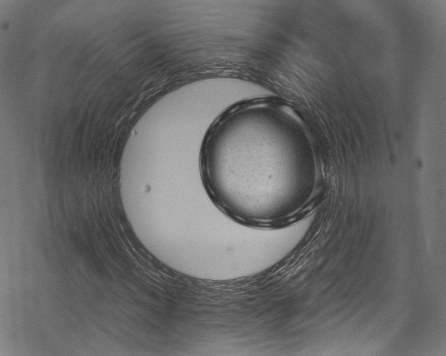 X0000068901012200605081340